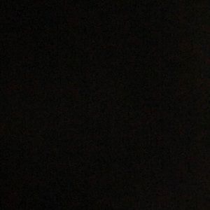 Meet your Posher, Bridget